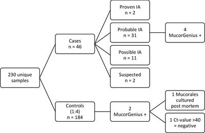 Blood Mucorales PCR to track down Aspergillus and Mucorales co-infections in at-risk hematology patients: A case-control study